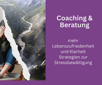 Coaching & Beratung